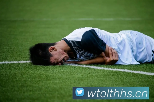 云开体app官网登录入口平台生态图